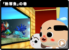 「熱帯魚」の巻
